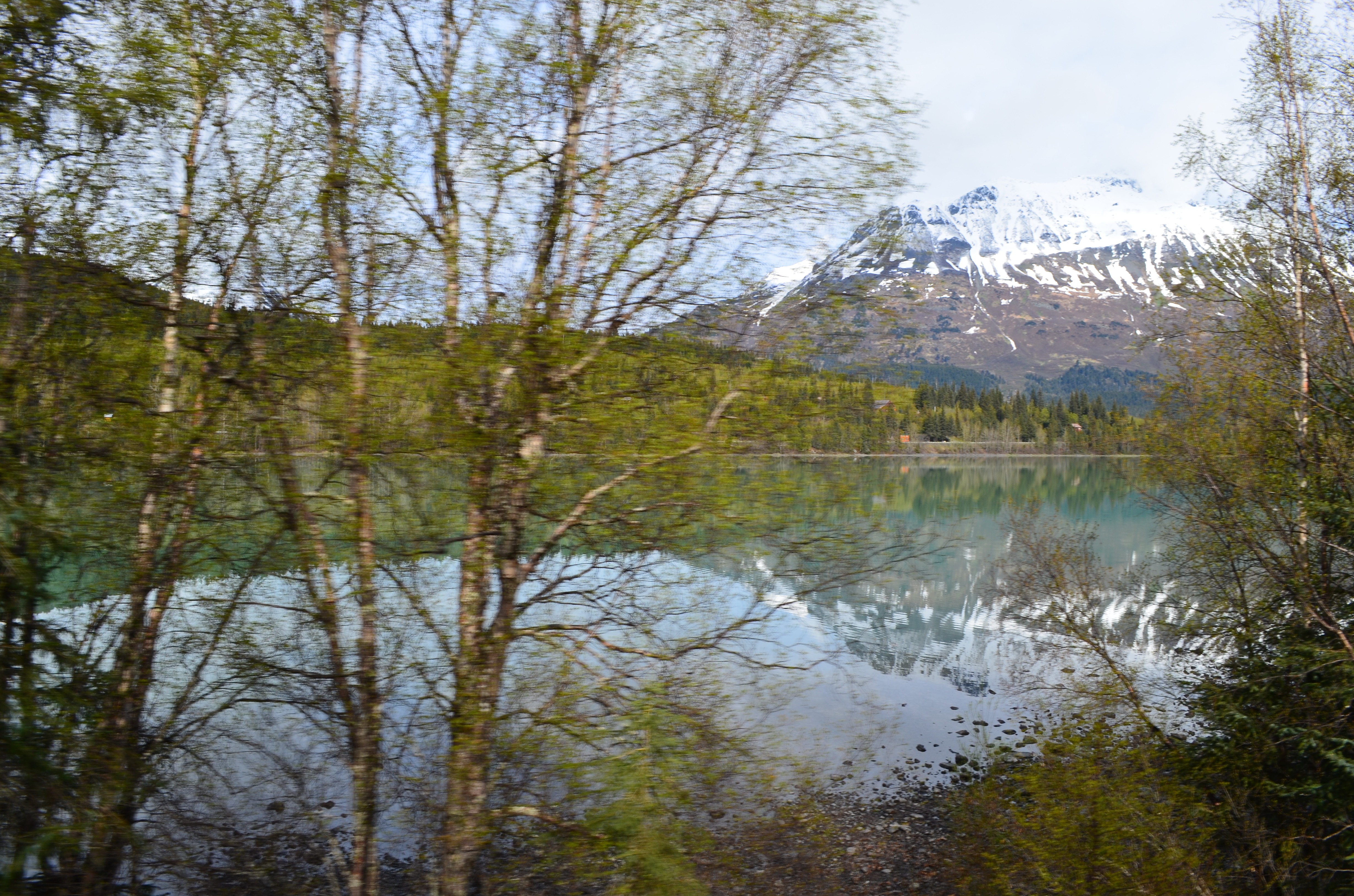 ./2017/08 - Alaska Cruise/05 - Train to Seward/DSC_0556.JPG